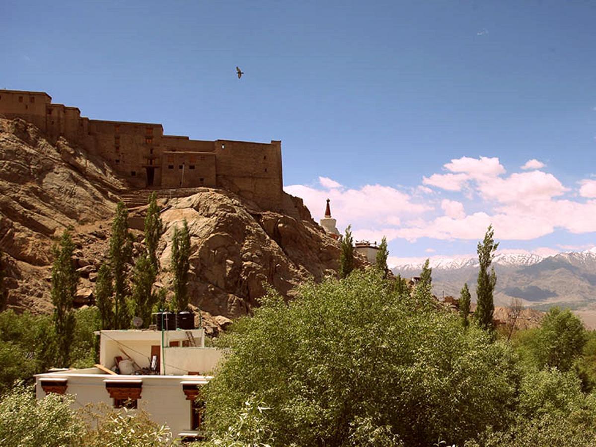 The Hotel Himalaya, Leh Dış mekan fotoğraf